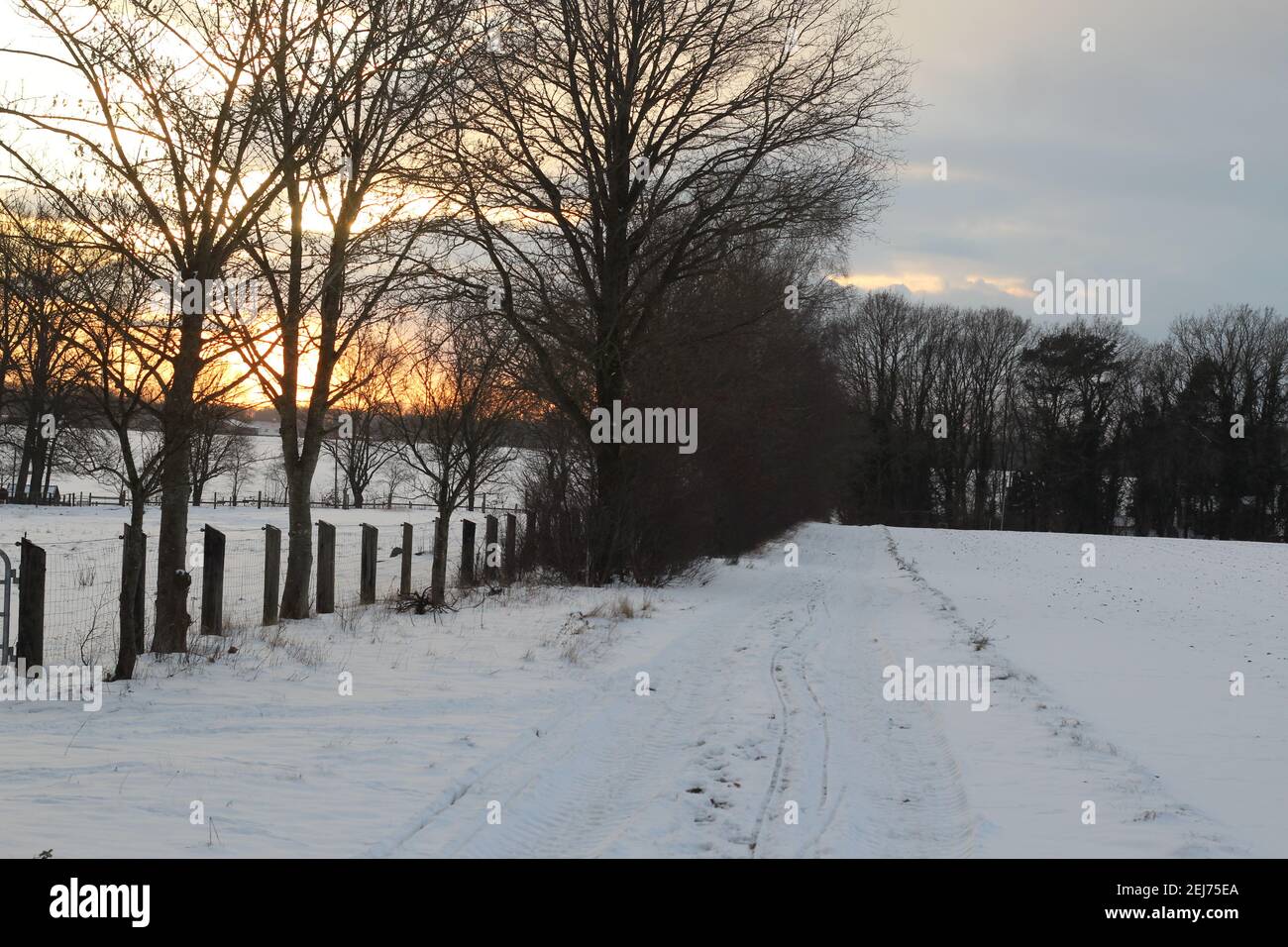 Paesaggio invernale con alberi e strada sterrata nella neve Foto Stock