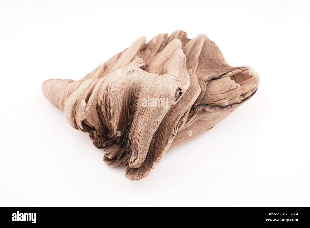 bellissimo legno driftwood su sfondo bianco Foto Stock