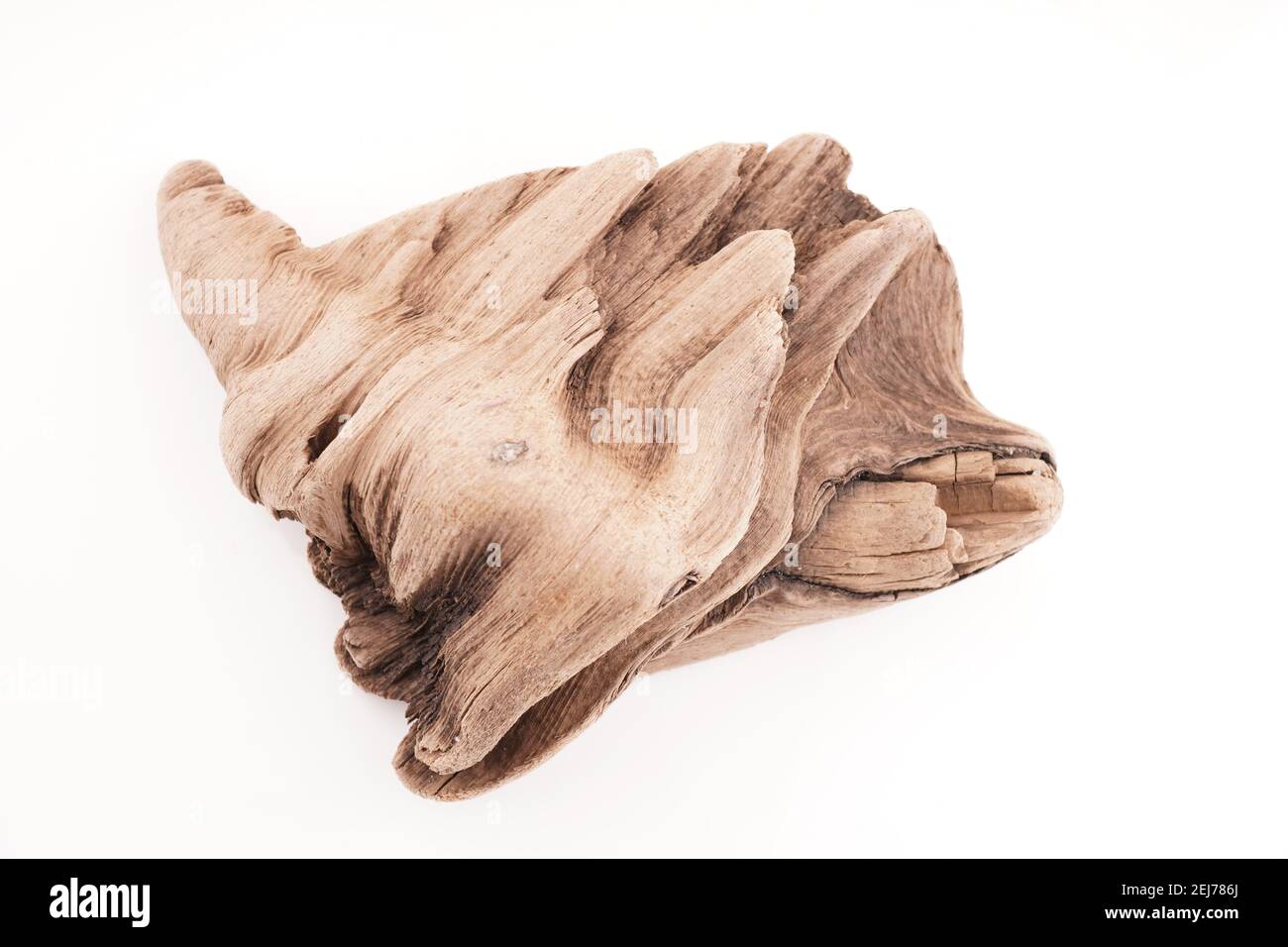 bellissimo legno driftwood su sfondo bianco Foto Stock
