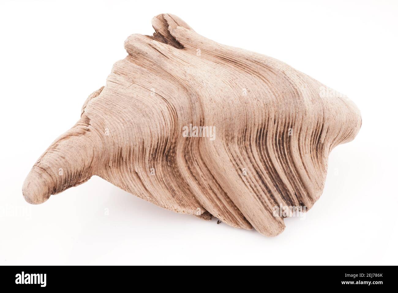 bellissimo legno driftwood su sfondo bianco Foto Stock