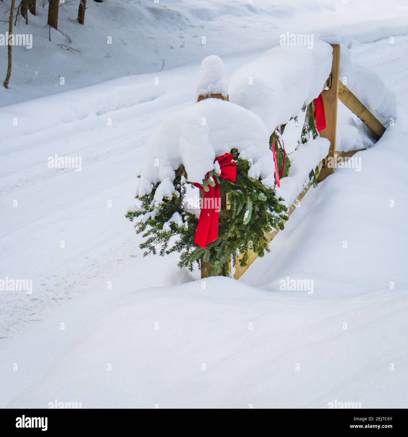 le corone decorano il vialetto invernale Foto Stock