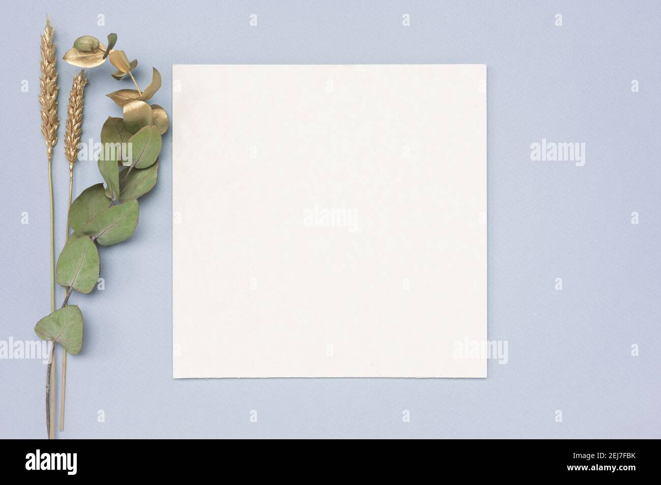 Mockup di biglietti d'invito quadrati con un ramo d'eucalipto d'oro. Vista dall'alto di un mockup di carte bianche con ramo di eucalipto su una tabella di colori neutri Foto Stock