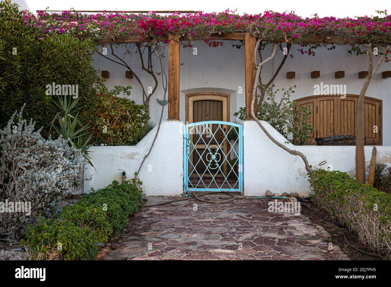 Un cancello con accesso al cortile con pietre di pavimentazione. Giardino tropicale in egitto. Foto Stock