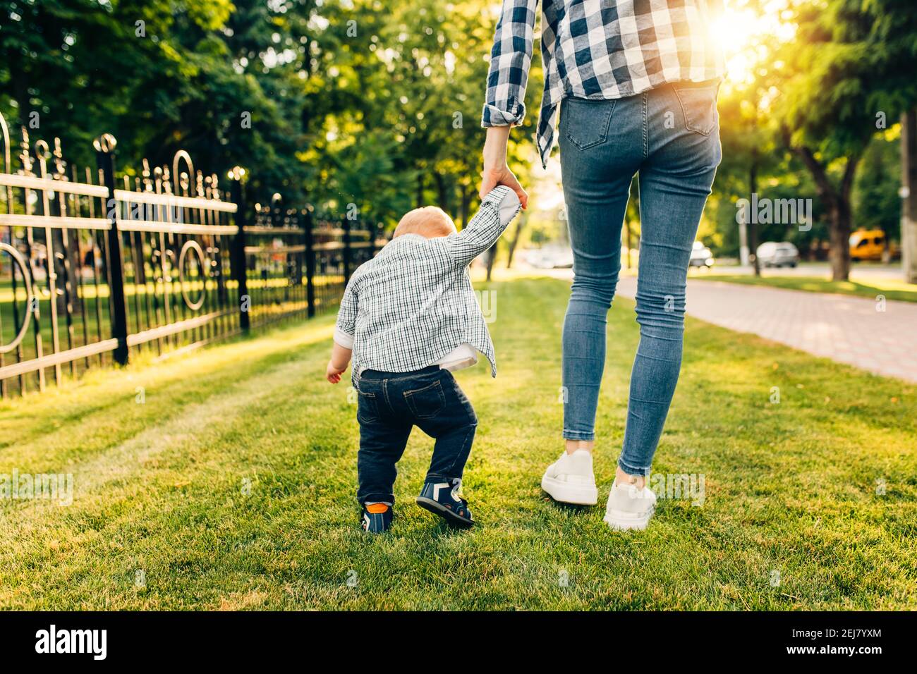 Mamma tiene la mano del bambino, cammina nel parco sull'erba verde Foto Stock