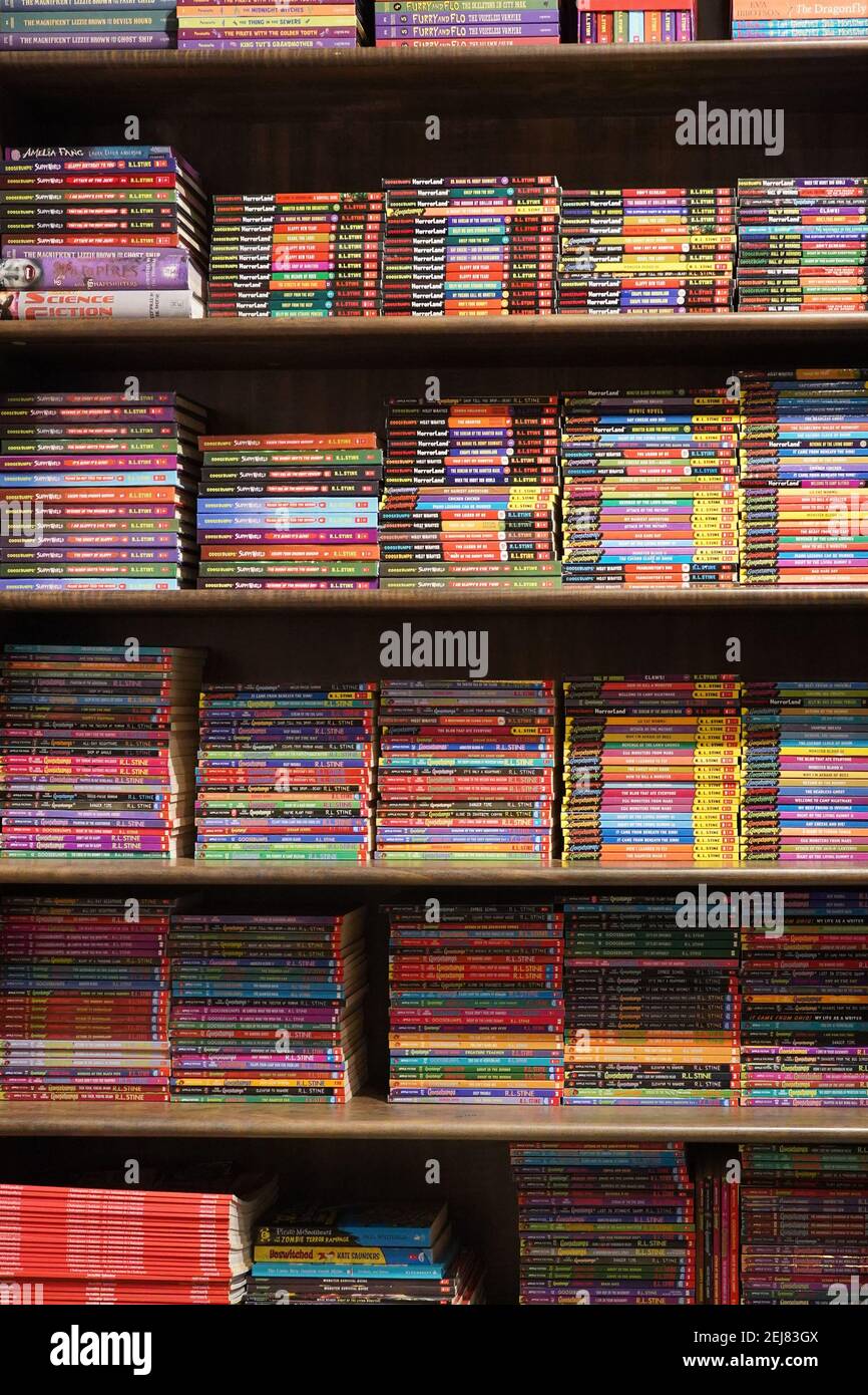 Kolkata, India, febbraio 12.2021. Una foto verticale di libreria con molti libri di storia colorati e romanzo grafico per la vendita all'interno di un negozio di libri. Foto Stock