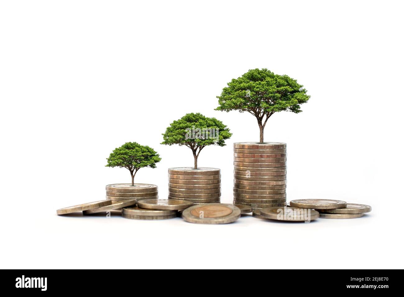 La crescita di pianta di foglia verde su moneta su sfondo bianco inizio di affari idea e business building per il successo. Foto Stock