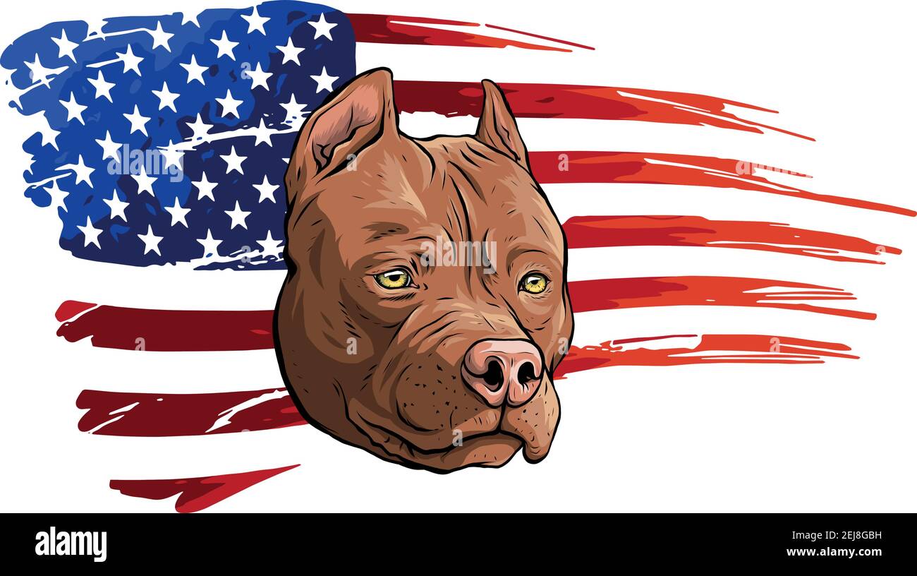 Testa di pitbull con illustrazione del vettore di bandiera americana Illustrazione Vettoriale