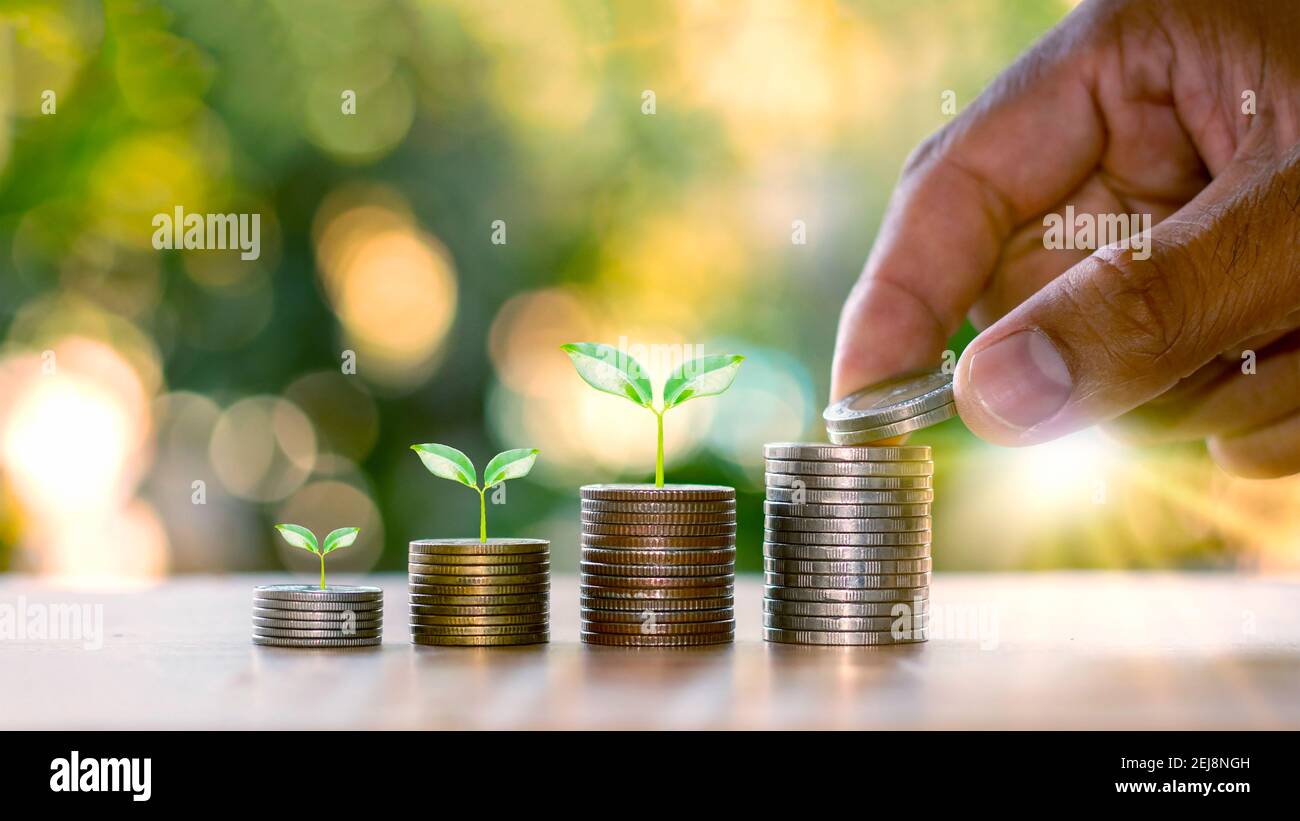 Mani umane che tengono le monete e le piante che germogliano sul mucchio di monete delle idee finanziarie e della crescita di affari. Foto Stock