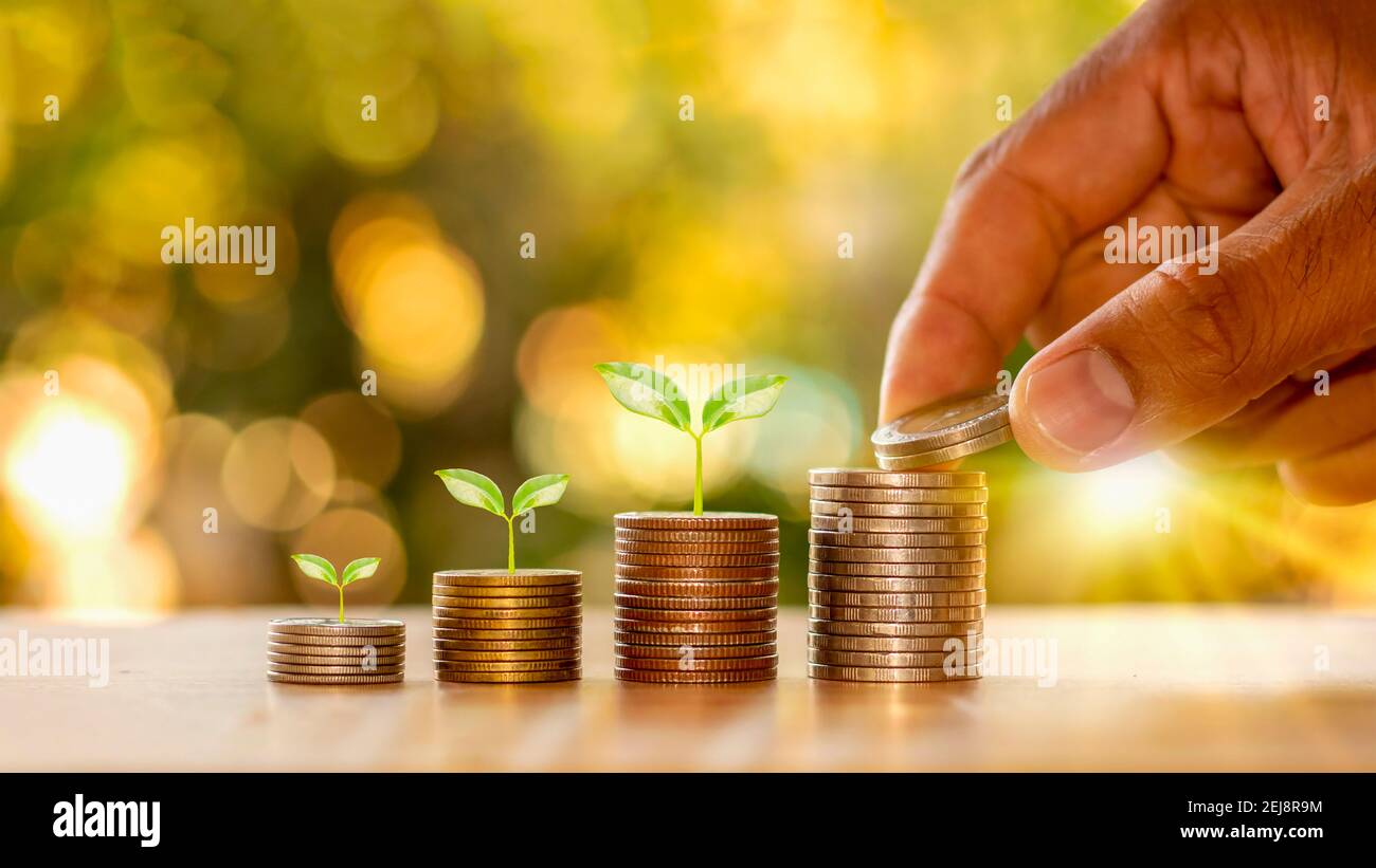 Mani umane che tengono le monete e le piante che germogliano sul mucchio di monete delle idee finanziarie e della crescita di affari. Foto Stock