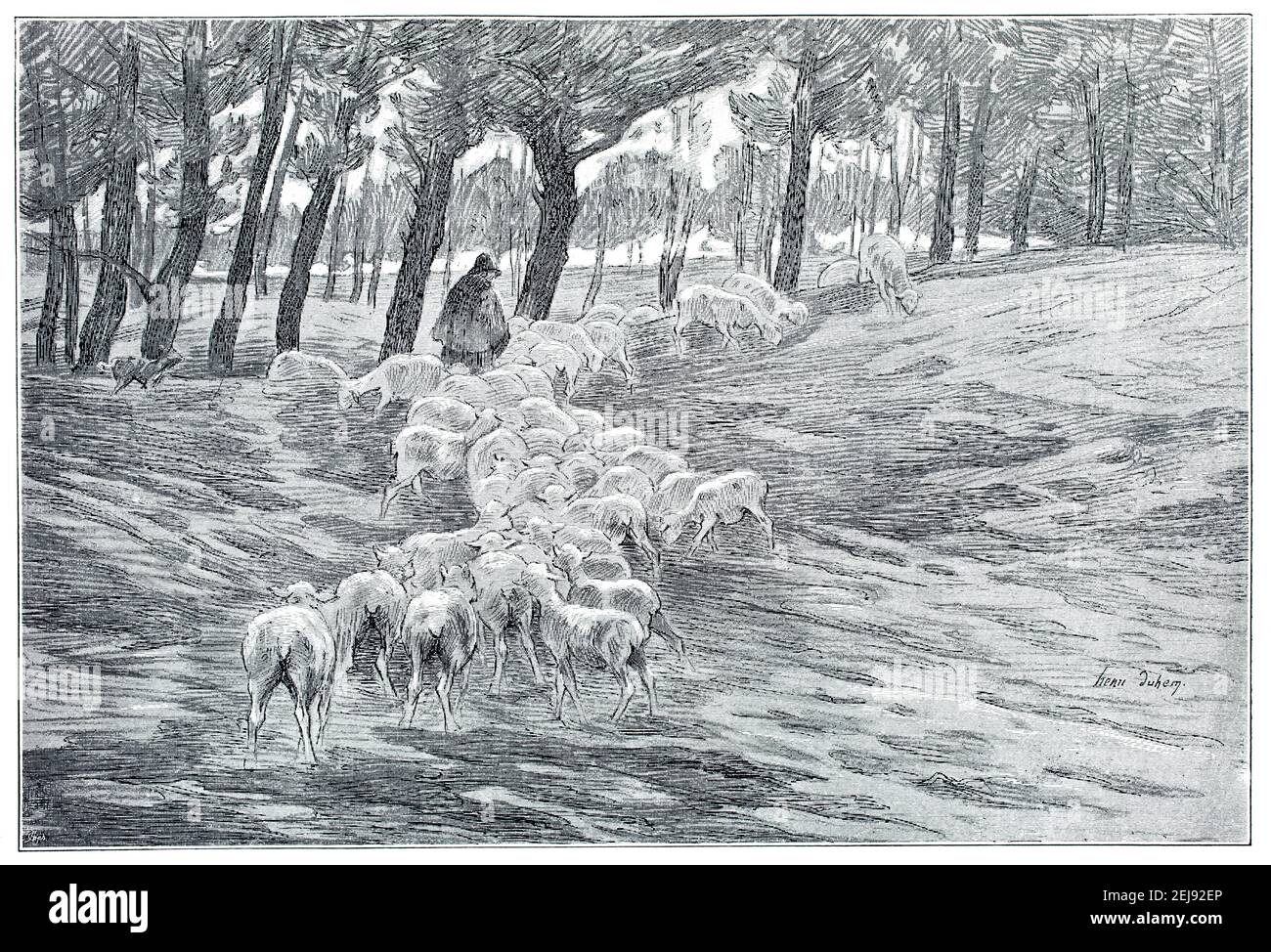 Troupeau dans le dune. 'Mandria nella duna', linea di disegno, del pittore impressionista francese Henri Duhem, (1860-1941) illustrazione dal 1899 Foto Stock