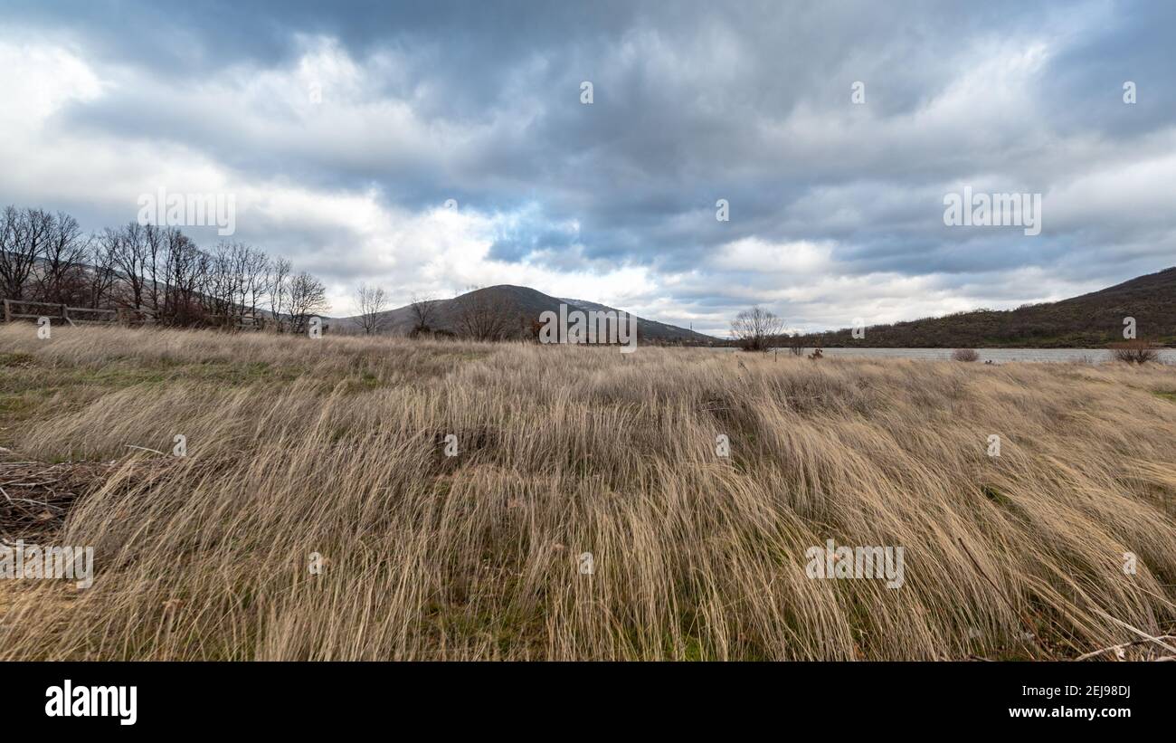 Erba secca mossa dal vento nel bacino idrico di Lozoya del Valle con cielo nuvoloso e montagne della Sierra sullo sfondo a Madrid, Spagna Foto Stock