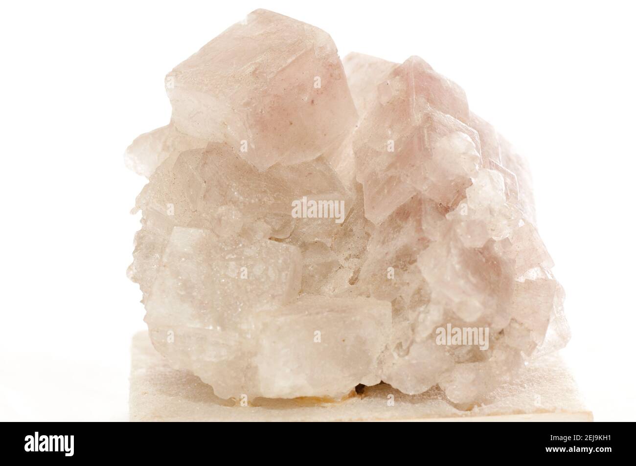 campione di minerale di alite Foto Stock