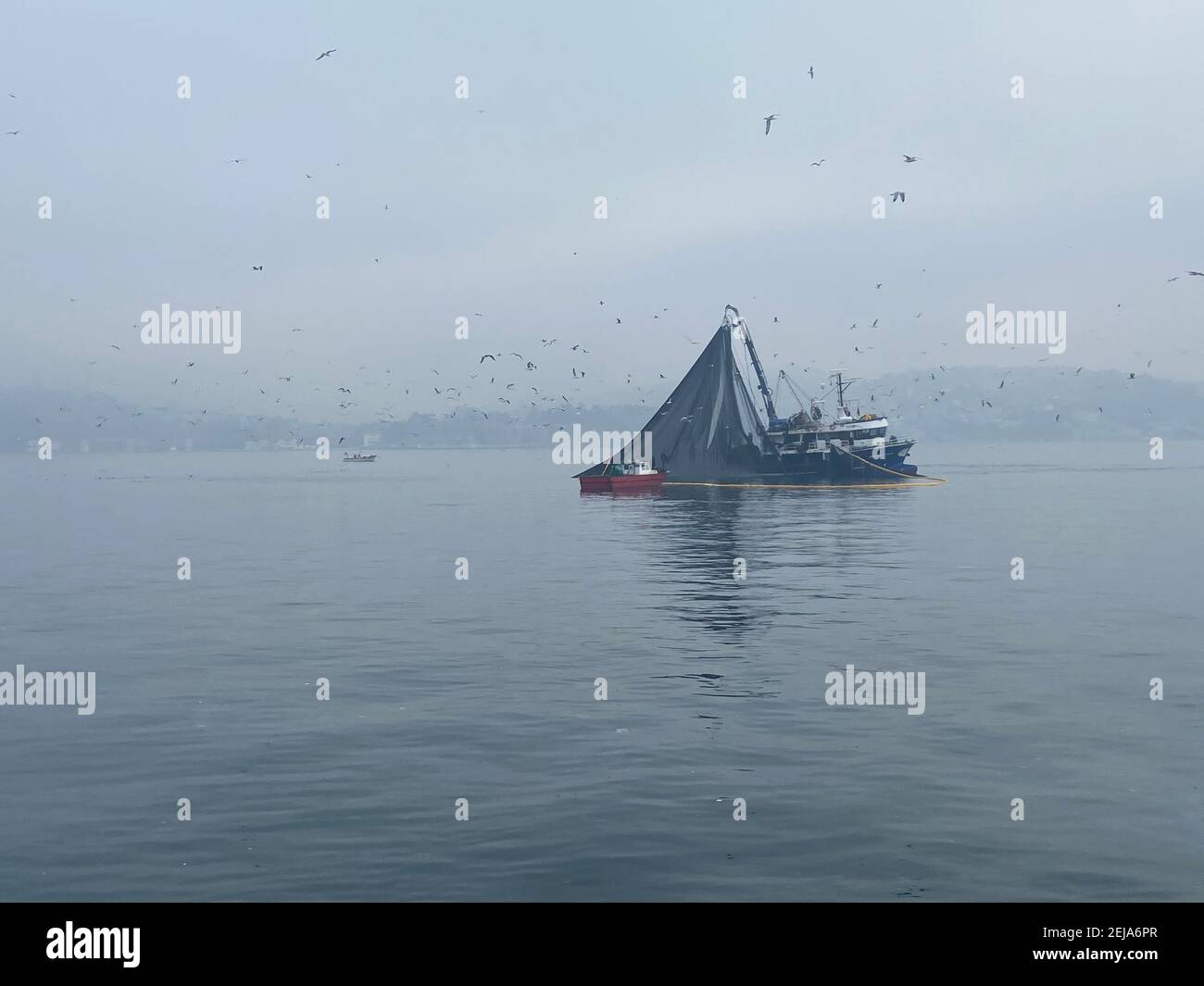 Pescatore barca con un grande enorme rete di pesce che raccoglie il pesce dal bosforo la mattina presto in nebbia. Acqua di mare grigia e cielo nuvoloso. Uccelli marini che volano. Foto Stock