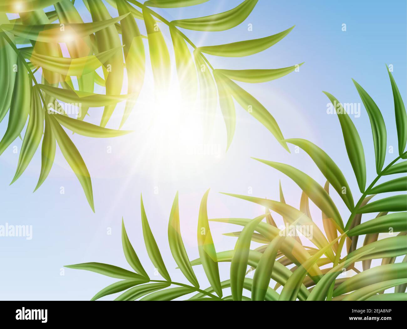 3d realistico vettore cielo tropicale sfondo con foglie di palma e sole brillare. Illustrazione Vettoriale