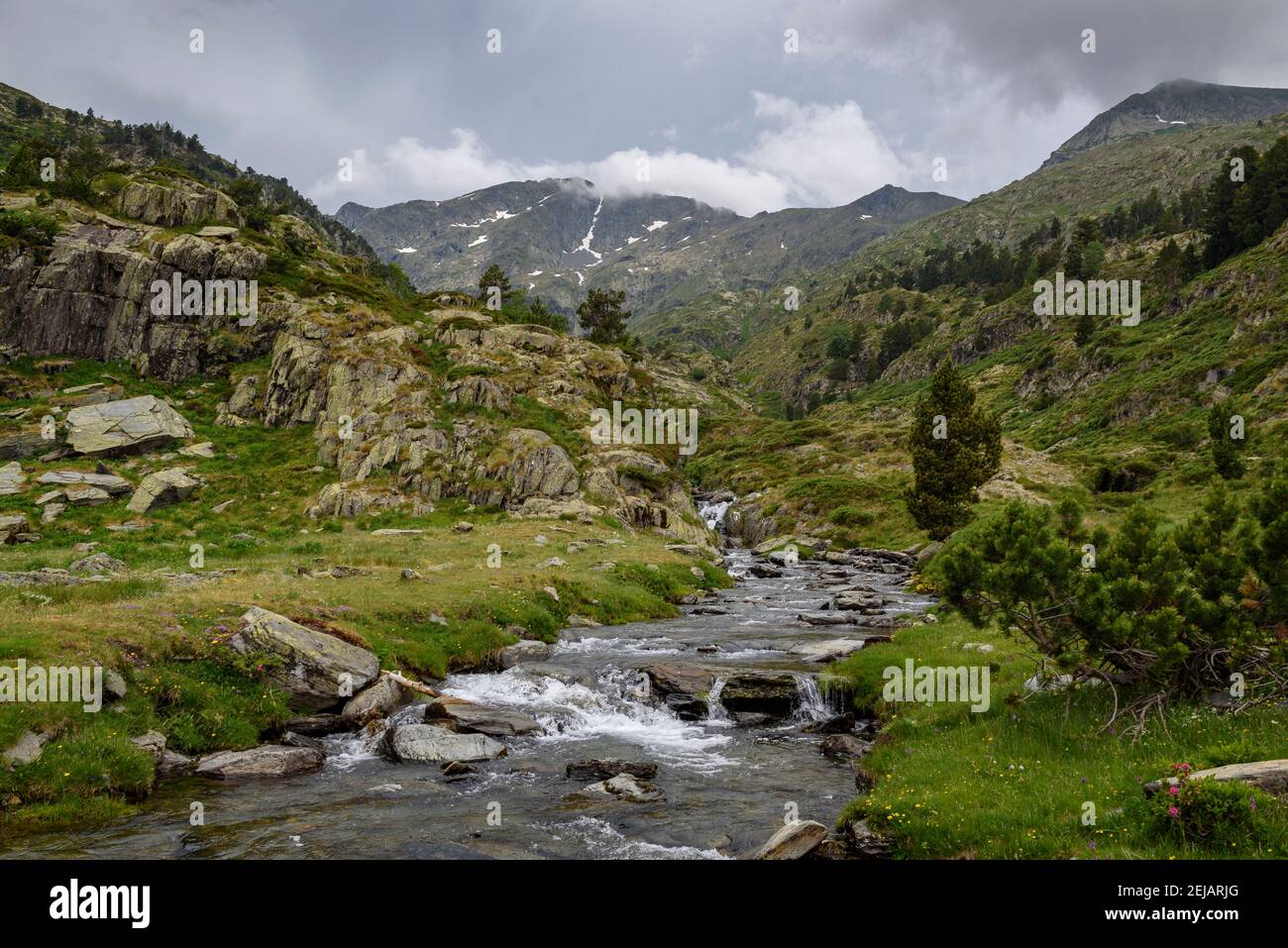 Vista sulla cima del Mont-roig dal percorso di accesso attraverso la valle (Alt Pirineu Parco Naturale, Pirenei, Catalogna, Spagna) Foto Stock