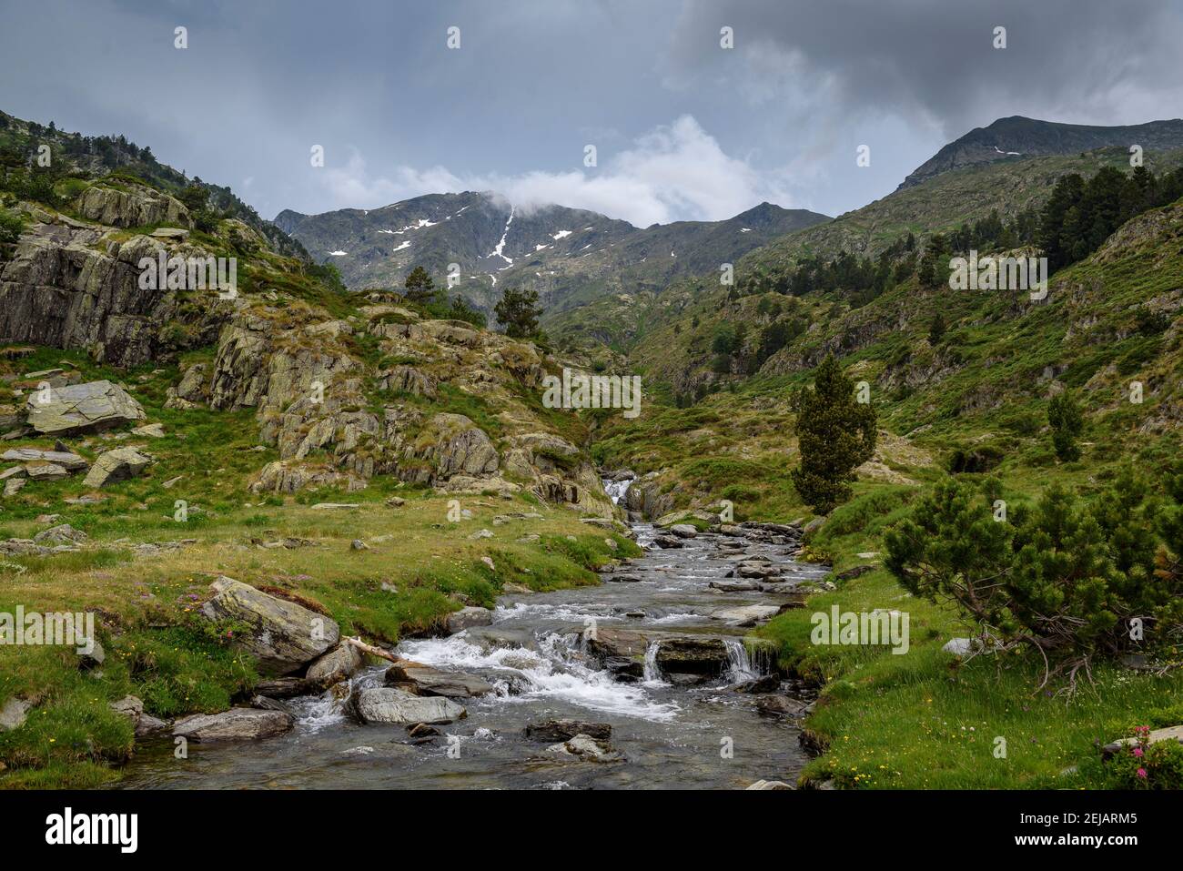 Vista sulla cima del Mont-roig dal percorso di accesso attraverso la valle (Alt Pirineu Parco Naturale, Pirenei, Catalogna, Spagna) Foto Stock