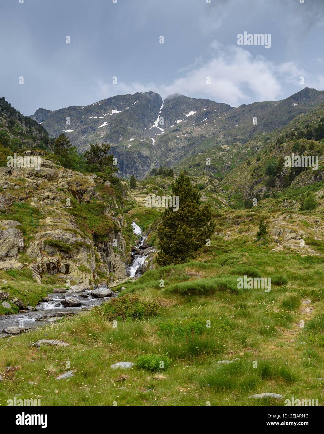 Vista sulla cima del Mont-roig dal percorso di accesso attraverso la valle (Alt Pirineu Parco Naturale, Pirenei, Catalogna, Spagna) Foto Stock