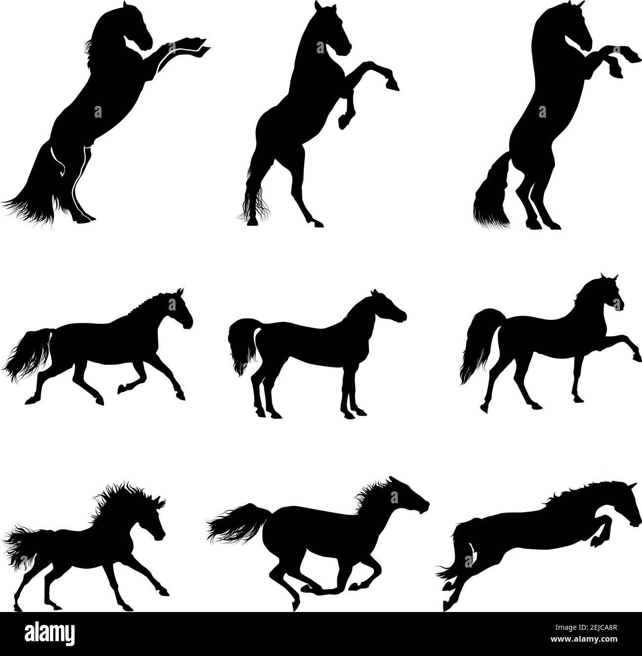 Silhouette a cavallo, silhouette a cavallo Illustrazione Vettoriale