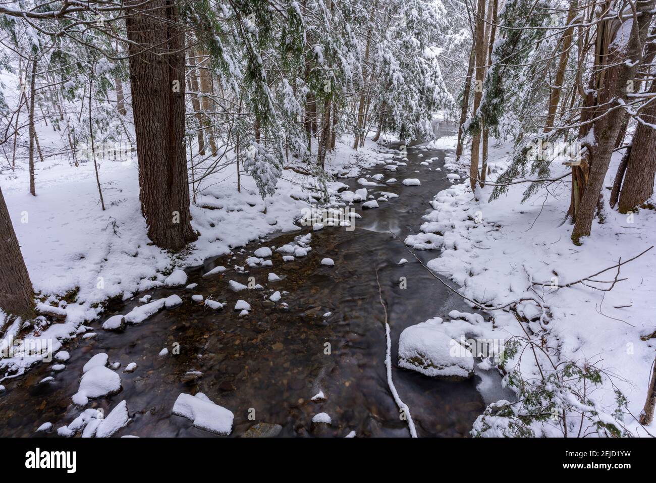 Lunga esposizione di un ruscello durante una profonda nevicata nei boschi del nord del New England. Foto Stock