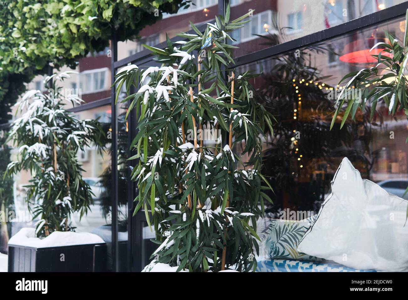 bambù innevato di fronte alle porte di una città diner Foto Stock