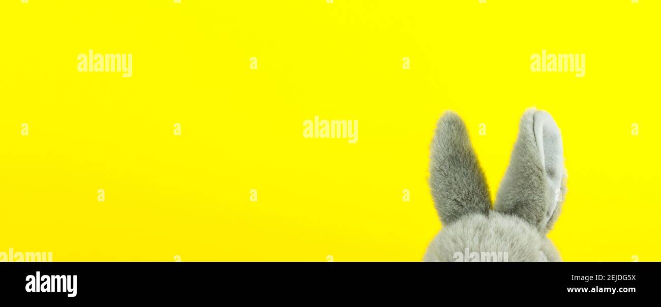 Coniglietto di Pasqua. Primo piano di orecchie conigliate su sfondo giallo Foto Stock