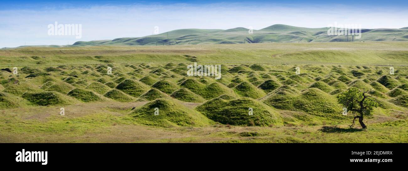 Mound figlio un paesaggio, Corral Hollow, San Joaquin County, California, Stati Uniti Foto Stock