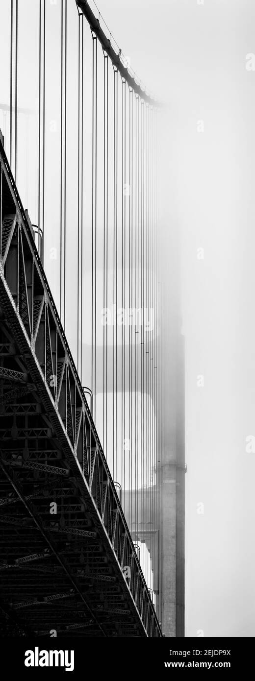 Ponte sospeso coperto di nebbia, Golden Gate Bridge, San Francisco Bay, San Francisco, California, STATI UNITI Foto Stock