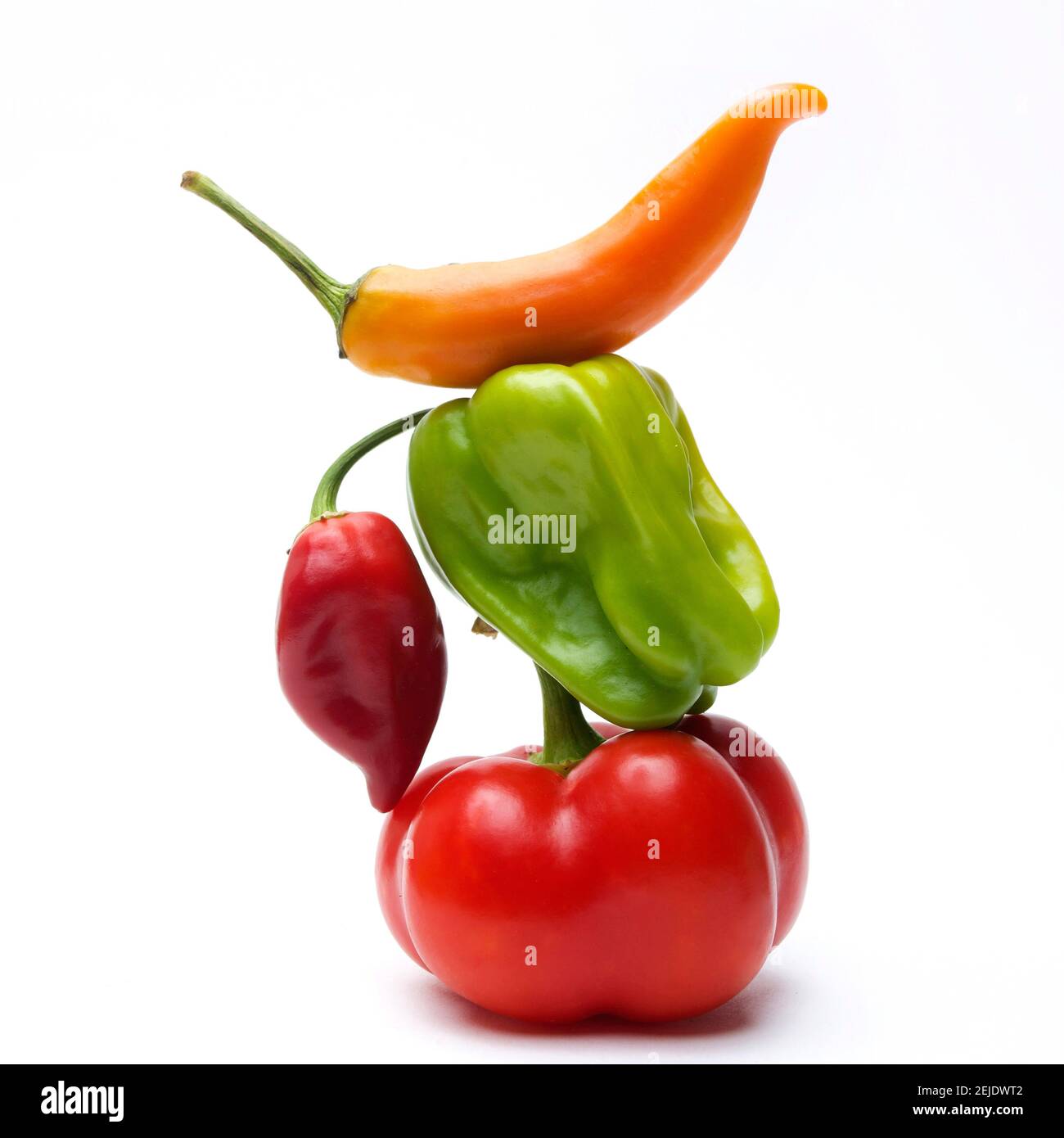 Peperoni caraibici colorati maturi (chinense di Capsicum) isolato su sfondo bianco Foto Stock