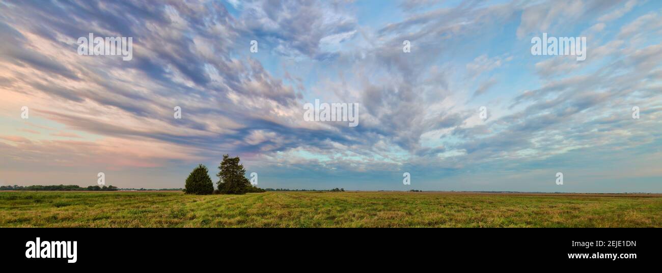 Nuvole sul paesaggio all'alba, Prairie Ridge state Natural Area, Marion County, Illinois, Stati Uniti Foto Stock