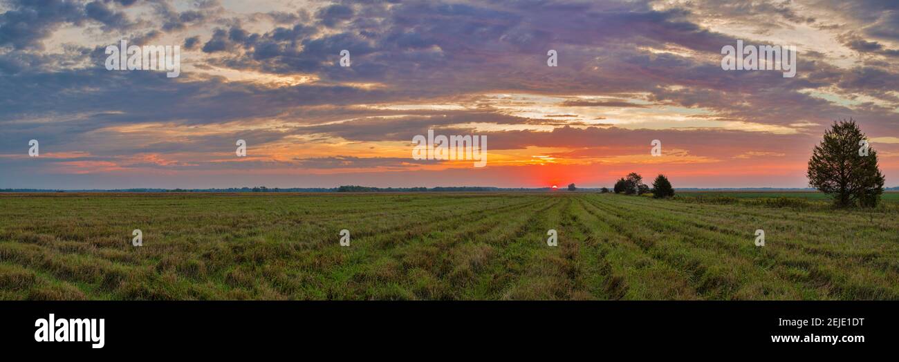 Nuvole sul paesaggio all'alba, Prairie Ridge state Natural Area, Marion County, Illinois, Stati Uniti Foto Stock