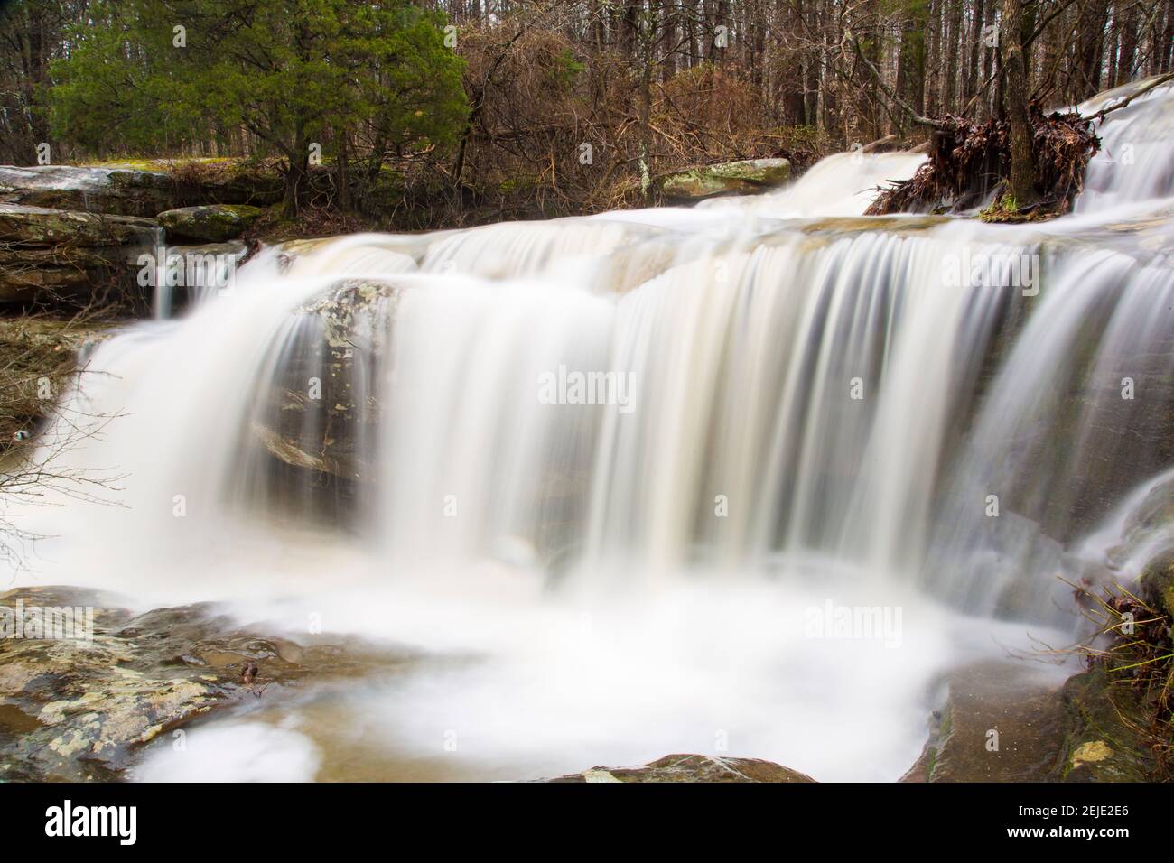 Acqua che cade da rocce in una foresta, Cascate di carico, Shawnee National Forest, Pope County, Illinois, STATI UNITI Foto Stock