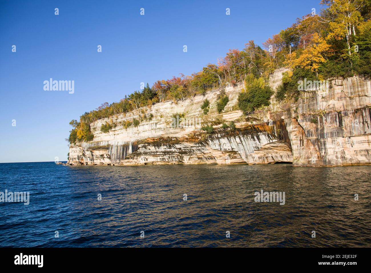 Alberi sulla scogliera, Lago superiore, Pictured Rocks National Lakeshore, Alger County, Michigan, Stati Uniti Foto Stock