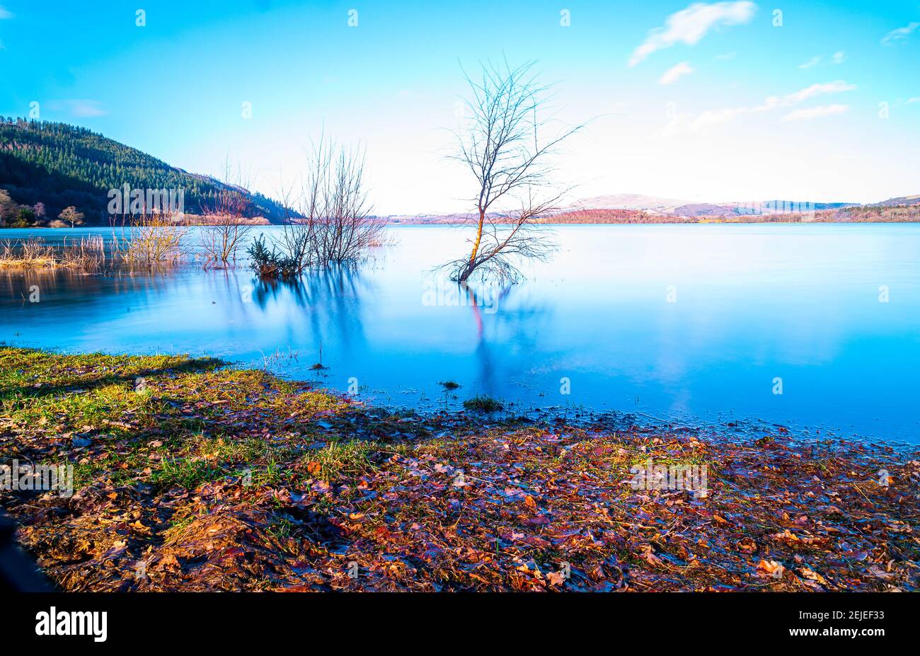 Lago di Bassenthwaite Foto Stock