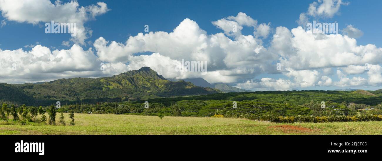 Vista verso il picco di Kapalaoa vicino a Kalaheo, Contea di Kauai, Hawaii, Stati Uniti Foto Stock