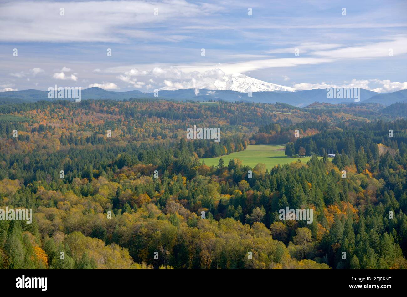 Alberi su un paesaggio con montagna sullo sfondo, Mt Hood, Jonsrud Viewpoint, Sandy, Clackamas County, Oregon, Stati Uniti Foto Stock