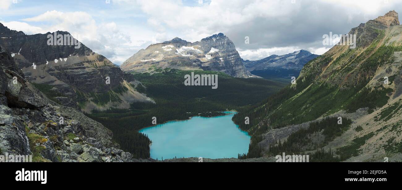 Vista elevata del lago o'Hara con Monte Odoray sullo sfondo, Parco Nazionale di Yoho, Field, British Columbia, Canada Foto Stock