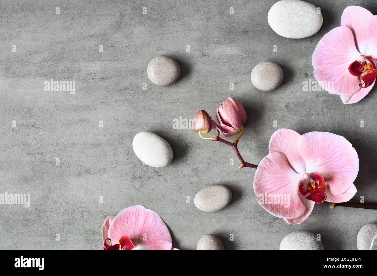 Composizione piatta con pietre termali, fiore rosa orchidea su sfondo grigio. Concetto di spa. Foto Stock