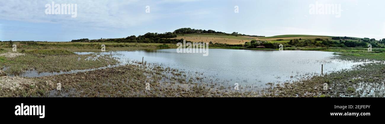Palude in un campo, Quiberville, Senna Marittima, alta Normandia, Francia Foto Stock