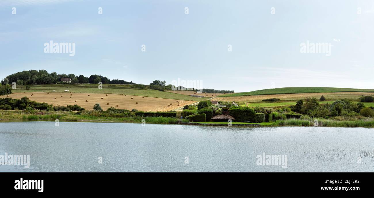 Palude in un campo, Quiberville, Senna Marittima, alta Normandia, Francia Foto Stock