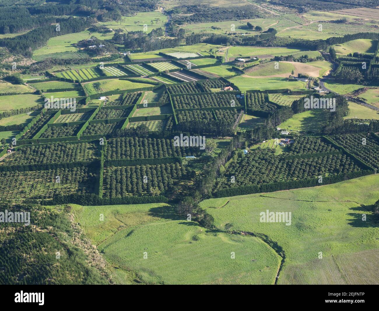 Vista aerea di Field, Northland, North Island, Nuova Zelanda Foto Stock