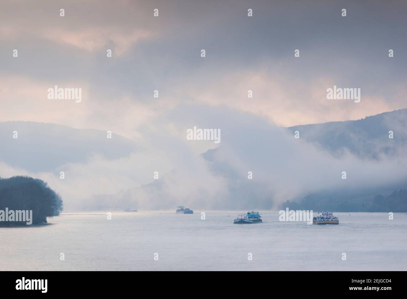 Traffico marittimo del fiume Reno in nebbia, Oberwesel, Renania-Palatinato, Germania Foto Stock