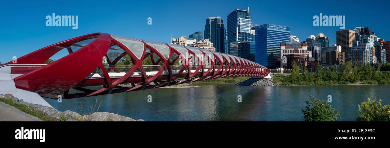 Vista del Peace Bridge con i lucernari sullo sfondo, fiume Bow, Calgary, Alberta, Canada Foto Stock