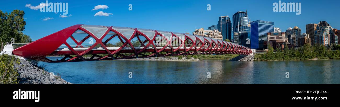 Vista del Peace Bridge con i lucernari sullo sfondo, fiume Bow, Calgary, Alberta, Canada Foto Stock