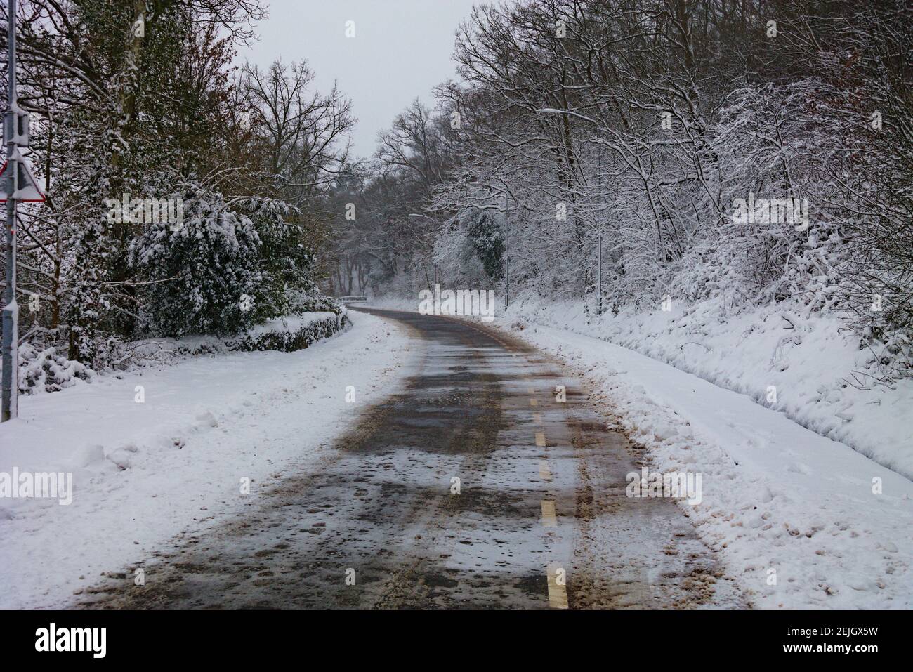 Primo piano di una strada di campagna pulita dalla neve con alberi su entrambi i lati Foto Stock