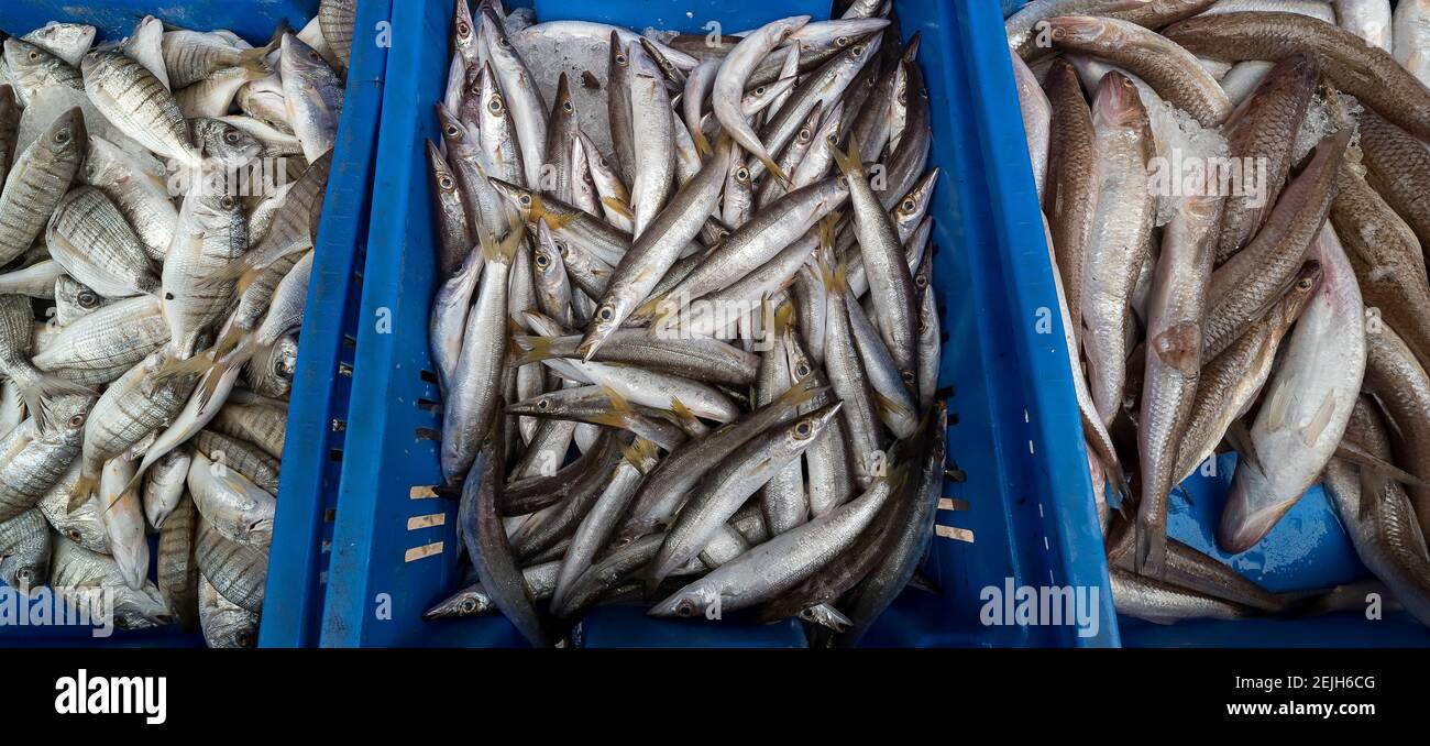 Vista ad alto angolo del pesce in casse al mercato, Bazaar Turco, Acre (Akko), Israele Foto Stock