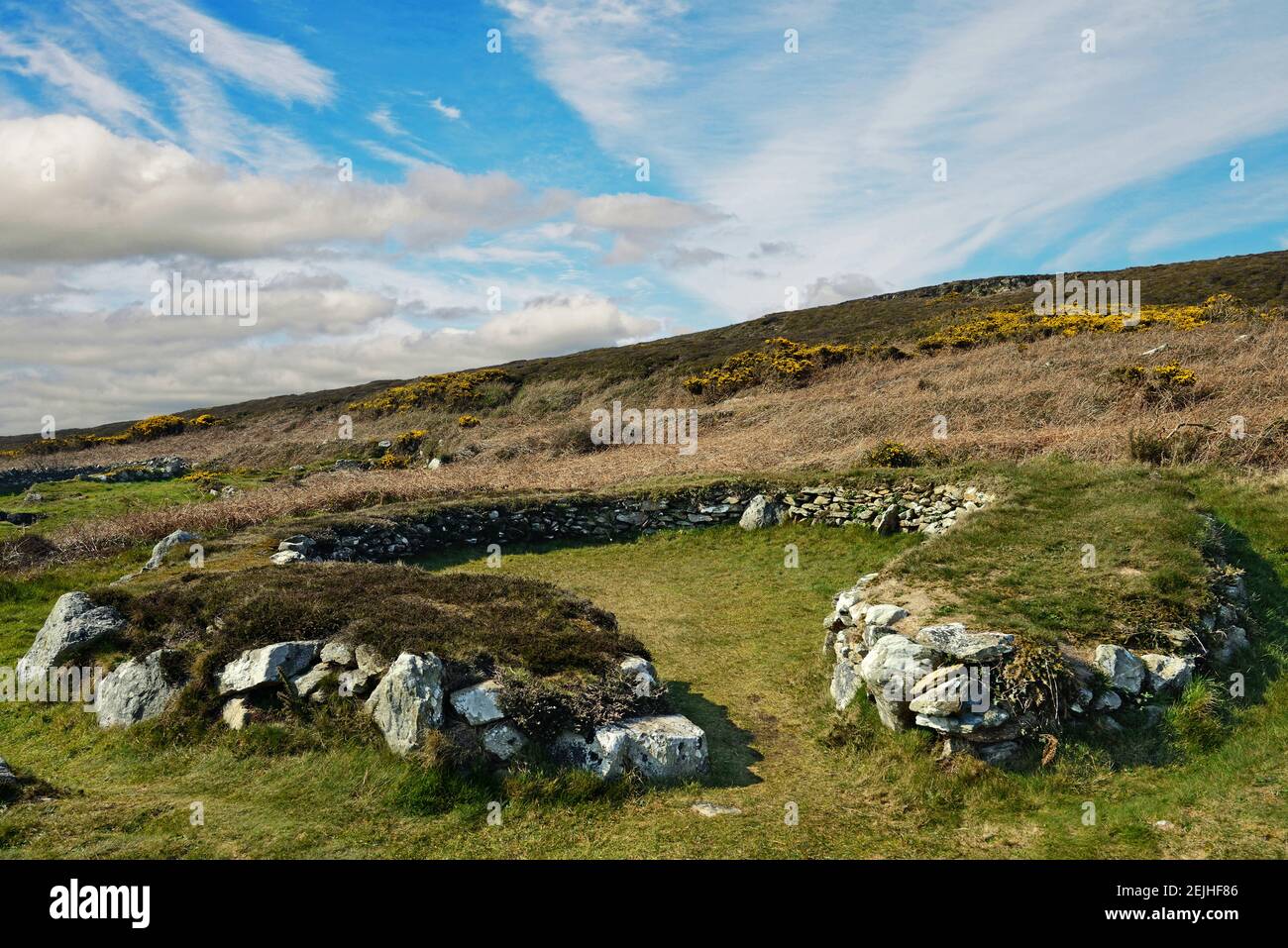 I circoli dei rifugi di Holyhead sono i resti di un gruppo di capanne preistoriche nei pressi di Trearddur Bay su Holy Island, Anglesey, Galles. Foto Stock