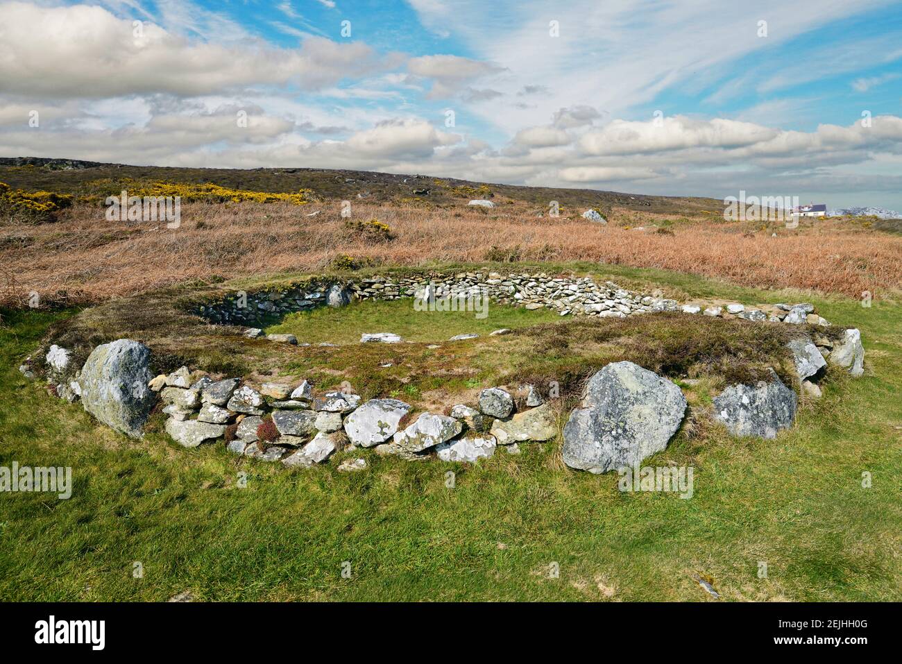 I circoli dei rifugi di Holyhead sono i resti di un gruppo di capanne preistoriche nei pressi di Trearddur Bay su Holy Island, Anglesey, Galles. Foto Stock