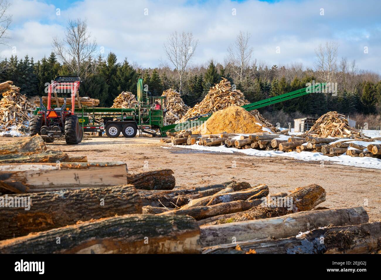 Fare legna da ardere per il Ludington state Park presso il JT's Wood Yard utilizzando il Woodbine Monster legna processor vicino a Ludington, Michigan, USA. Foto Stock