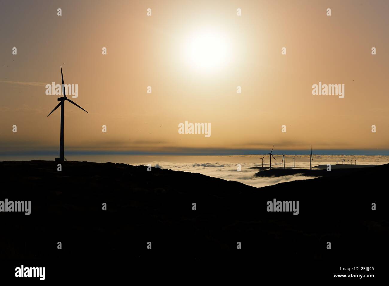 Silhouette di centrali eoliche contro il sole sopra il paesaggio nebby in background. Turbine eoliche in natura di Plateau Paul da Serra, isola di Madeira, Por Foto Stock