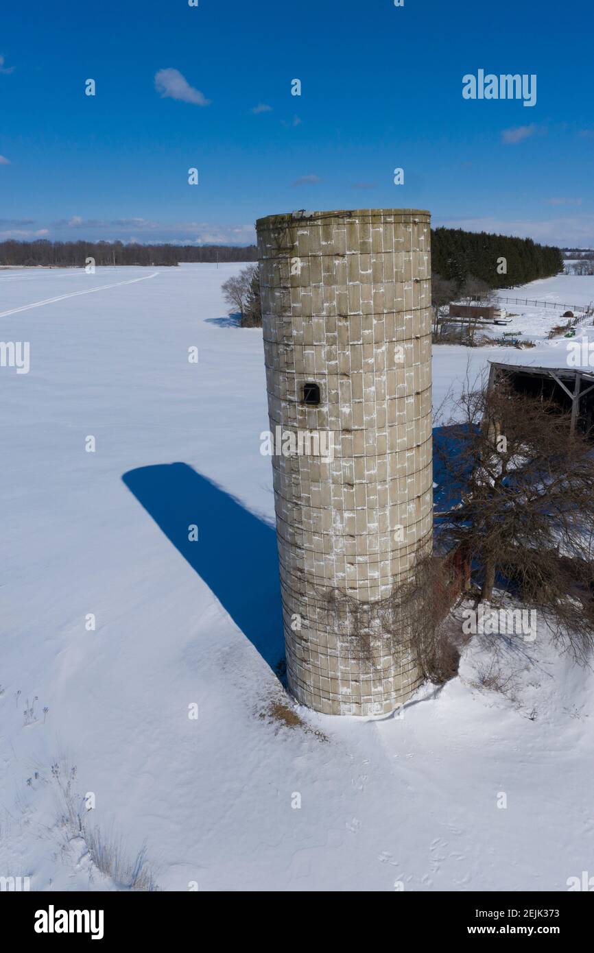 Croswell, Michigan - un vecchio silo in inverno su una fattoria del Michigan. Foto Stock